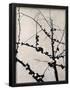 Essential Black