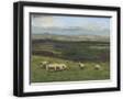 Chelsea Black