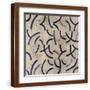 Brown Frame
