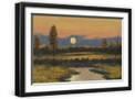 Black Frame