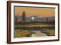 Brown Frame