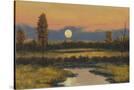 Stretched Canvas