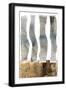Black Frame