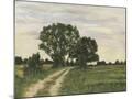Wood Mount