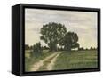 Canvas Black