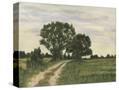 Stretched Canvas