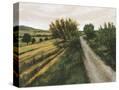 Stretched Canvas