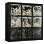Canvas Black