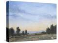 Stretched Canvas