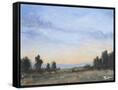 Canvas Black