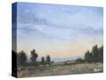 Stretched Canvas