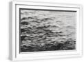 White Frame