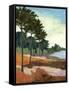 Canvas Black