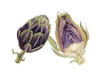 Watercolor Artichoke-Michael Willett-Art Print