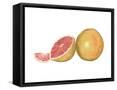 Framed Canvas