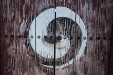 Yin and Yang Sign on a Door, Fortress of Suwon, UNESCO World Heritage Site, South Korea, Asia-Michael-Photographic Print