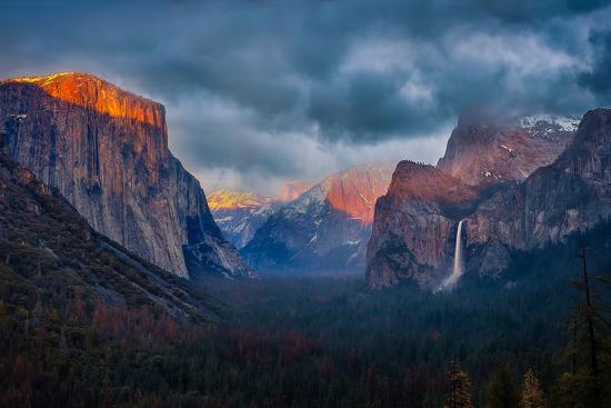 Premium Photographic Print, , large