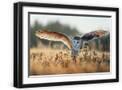Black Frame