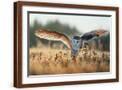 Brown Frame