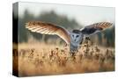 Stretched Canvas