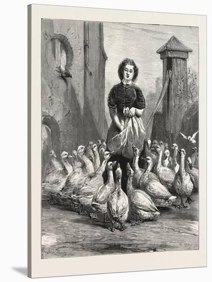 Michaelmas Geese, the Last Meal, 1876-null-Stretched Canvas