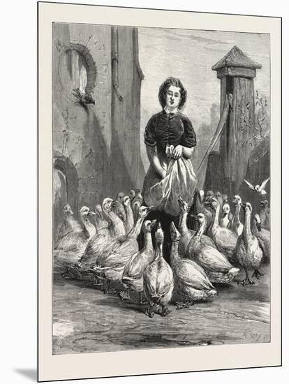 Michaelmas Geese, the Last Meal, 1876-null-Mounted Giclee Print