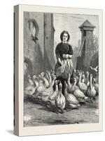 Michaelmas Geese, the Last Meal, 1876-null-Stretched Canvas