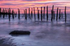 Delaware Bay Sunrise-michaelmill-Stretched Canvas