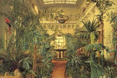 Winter Garden in the Winter Palace, St. Petersburg, 1840-Michail Ivanovich Antonov-Giclee Print