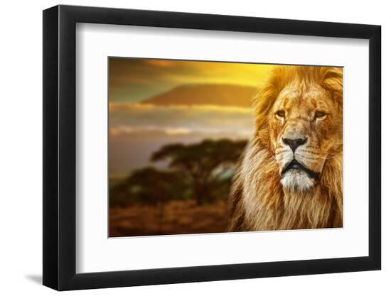Premium Photographic Print, , large