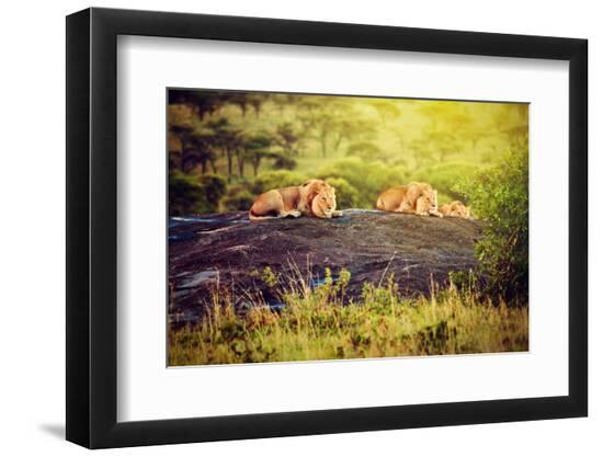 Photographic Print, , large