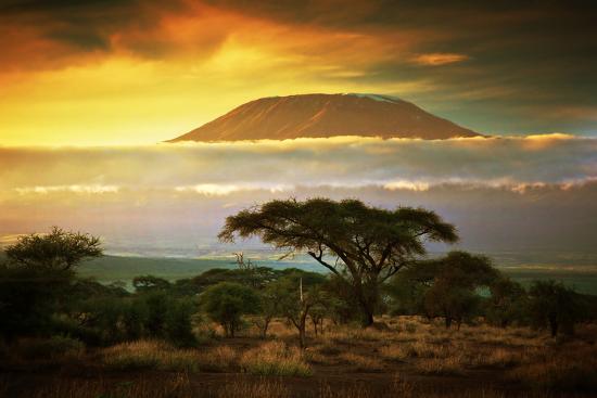 Premium Photographic Print, , large