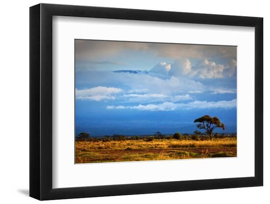 Premium Photographic Print, , large