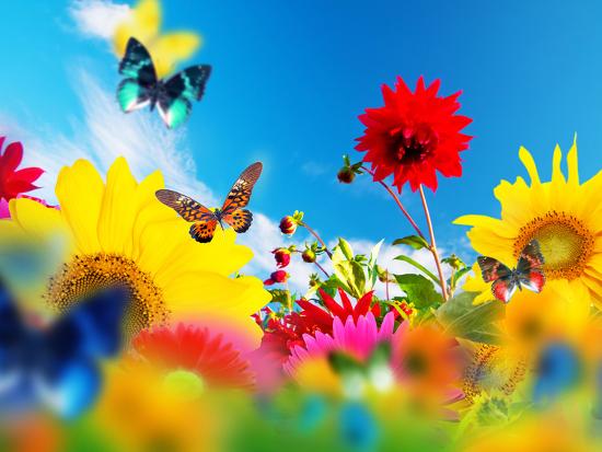 Photographic Print, , large