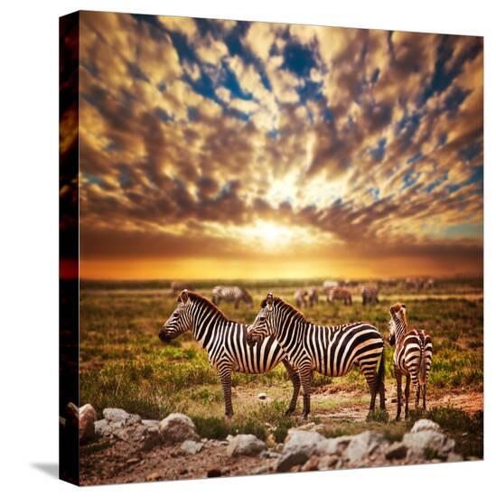 Stretched Canvas Print, , large