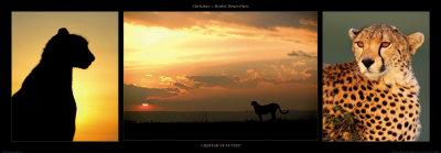 Leopard with Infant at Masai-Mara, Kenya-Michel & Christine Denis-Huot-Mounted Print