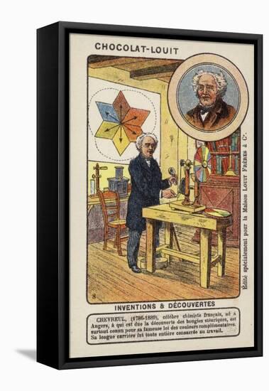 Michel Eugene Chevreul, French Chemist-null-Framed Stretched Canvas