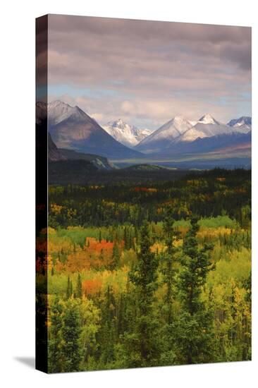 Stretched Canvas Print, , large