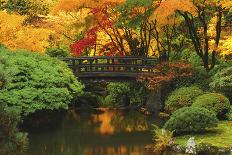 Moon Bridge in Autumn: Portland Japanese Garden, Portland, Oregon, USA-Michel Hersen-Photographic Print
