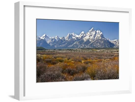 Framed Photographic Print, , large
