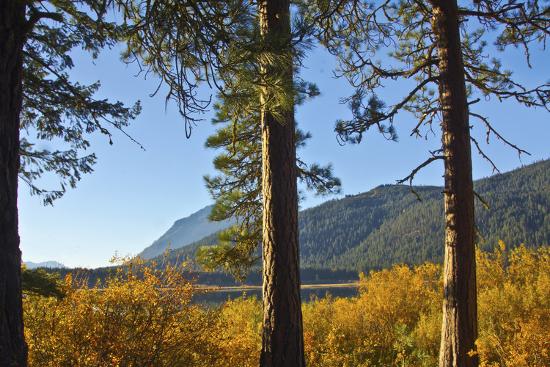 Premium Photographic Print, , large
