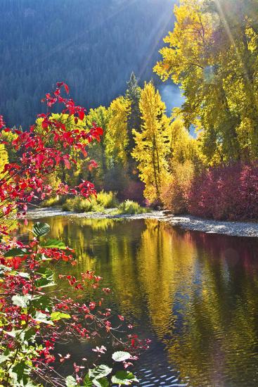 Premium Photographic Print, , large