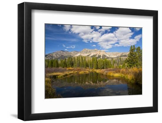 Premium Photographic Print, , large