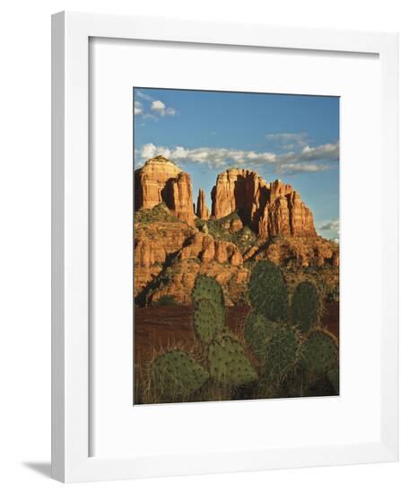 Framed Photographic Print, , large