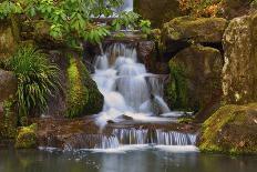 Japanese Maple in Full Fall Color, Portland Japanese Garden, Portland, Oregon, USA-Michel Hersen-Photographic Print