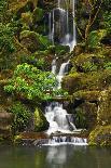 Spring on the Steps, Portland Japanese Garden, Portland, Oregon, USA-Michel Hersen-Photographic Print