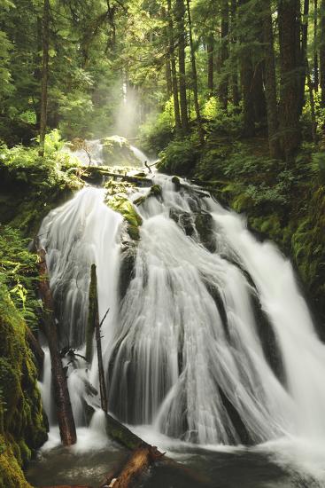Premium Photographic Print, , large