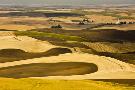 Just the Print