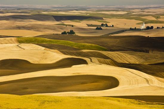 Photographic Print, , large