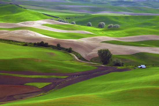 Premium Photographic Print, , large